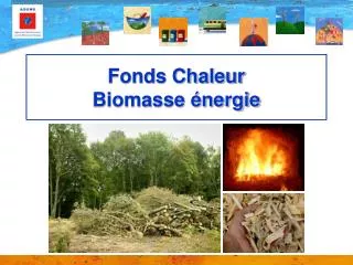fonds chaleur biomasse nergie