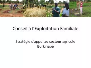 conseil l exploitation familiale