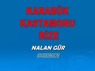 nalan g r 10130096026