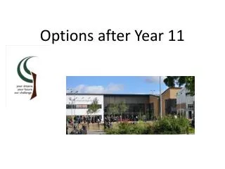 Options after Year 11