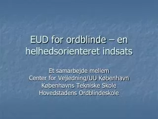 eud for ordblinde en helhedsorienteret indsats