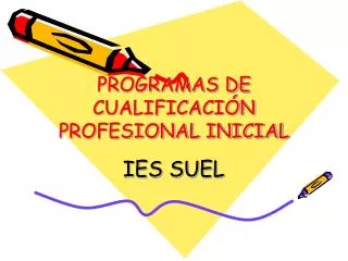 ies suel