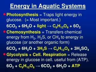 Energy in Aquatic Systems