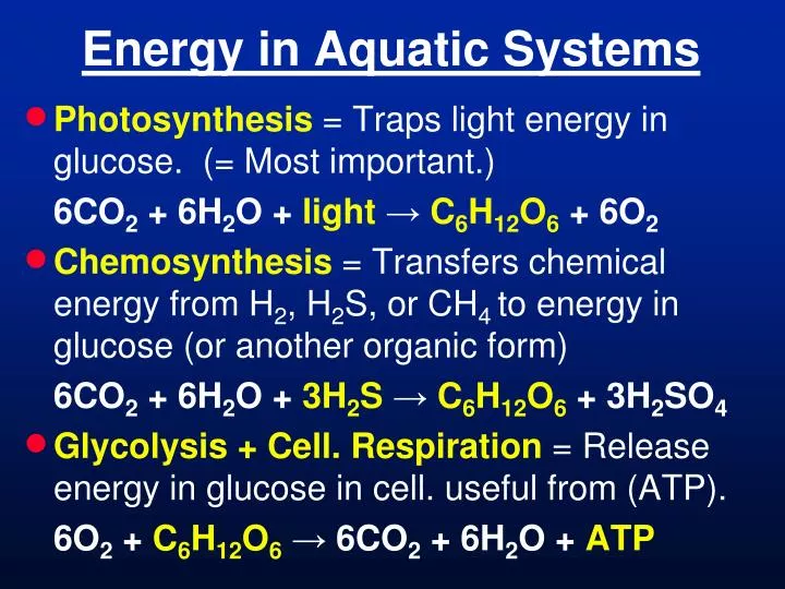 energy in aquatic systems