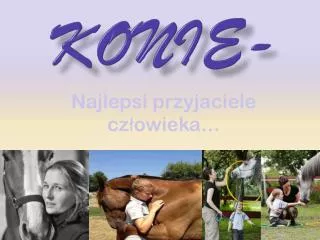 konie
