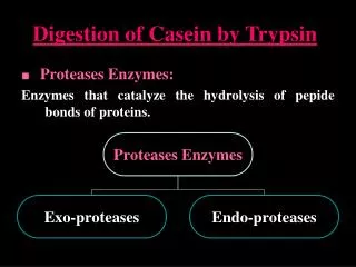 Digestion of Casein by Trypsin