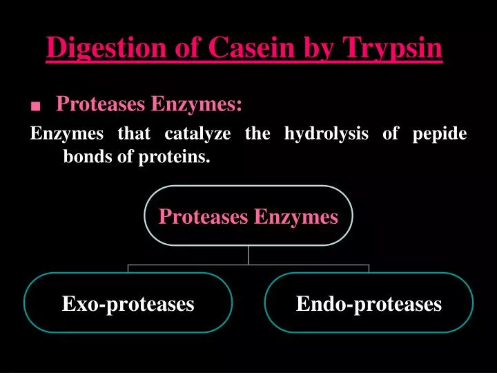 digestion of casein by trypsin