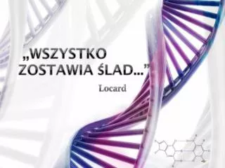 wszystko zostawia lad