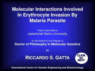 Molecular Interactions Involved In Erythrocyte Invasion By Malaria Parasite Thesis Submitted to