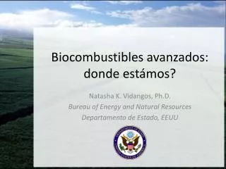biocombustibles avanzados donde est mos