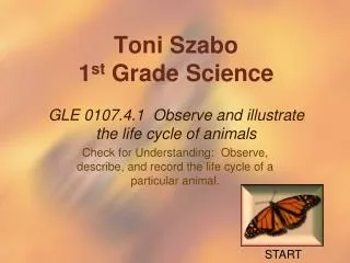 Toni Szabo 1 st Grade Science GLE 0107.4.1 Observe and illustrate the life cycle of animals