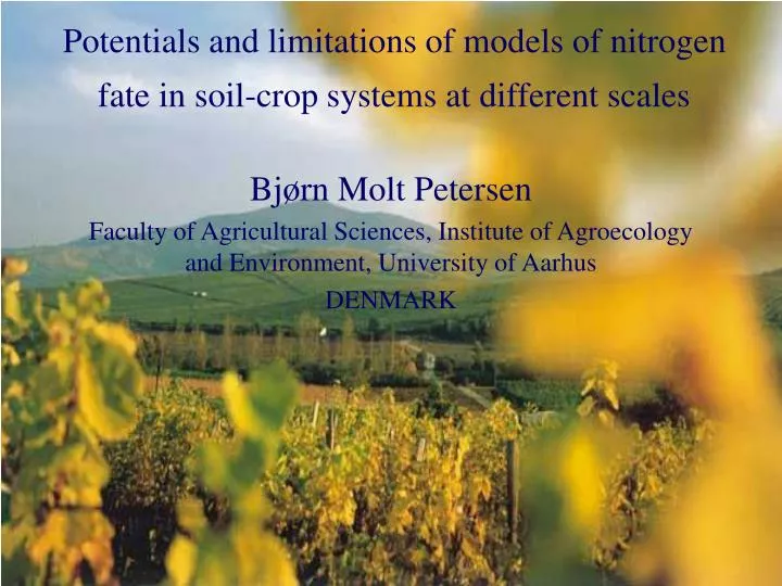 potentials and limitations of models of nitrogen fate in soil crop systems at different scales