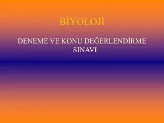 b yoloj