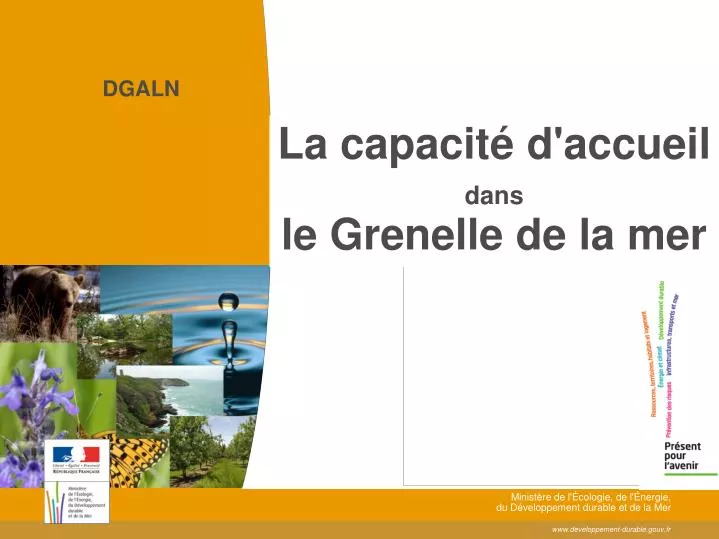 la capacit d accueil dans le grenelle de la mer