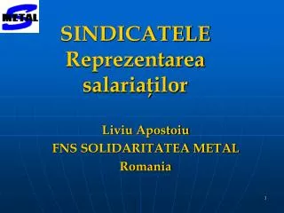 sindicatele reprezentarea salaria ilor