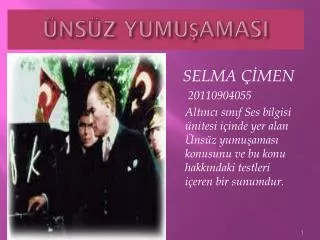 ns z yumu amasi