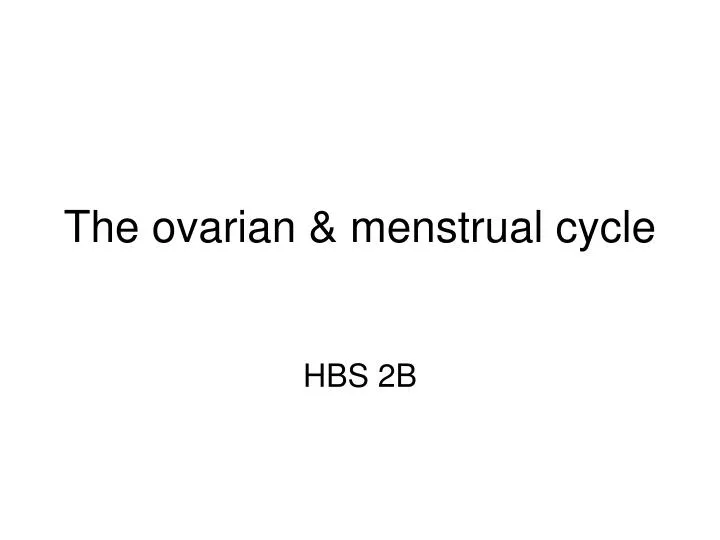 the ovarian menstrual cycle
