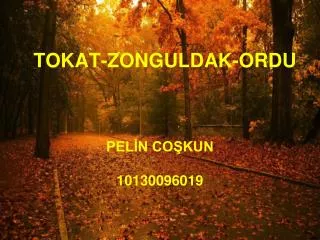 tokat zonguldak ordu