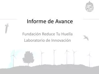 informe de avance