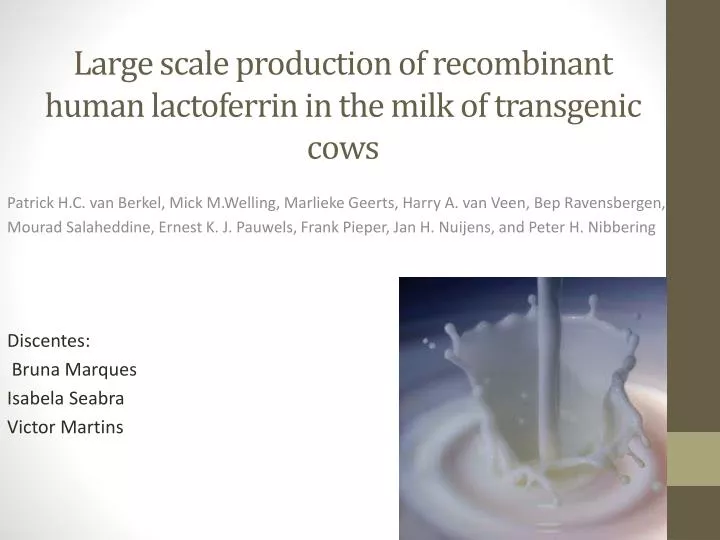 large scale production of recombinant human lactoferrin in the milk of transgenic cows