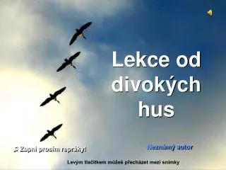 lekce od divok ch hus