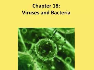 Chapter 18: Viruses and Bacteria