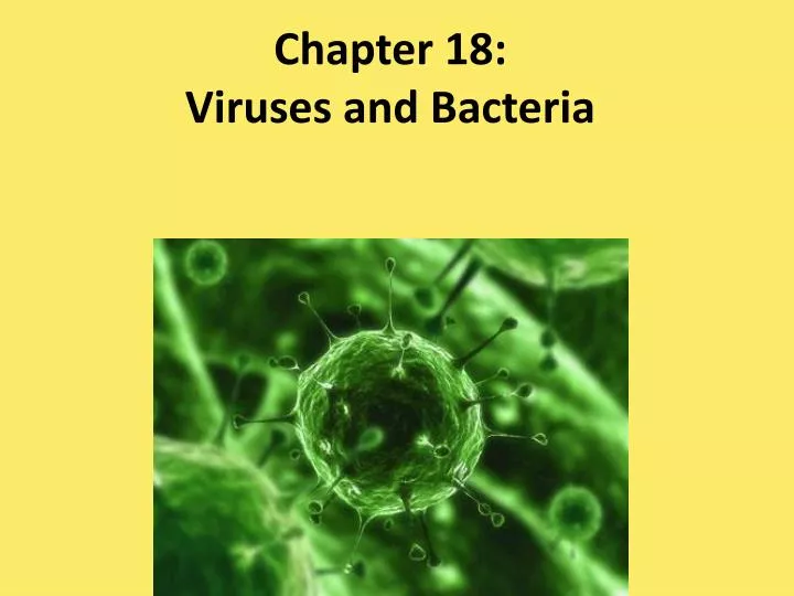chapter 18 viruses and bacteria