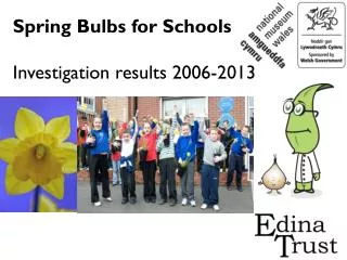 Spring Bulbs for Schools Investigation results 2006-2013