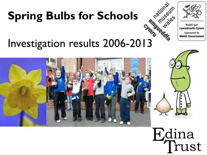 spring bulbs for schools investigation results 2006 2013