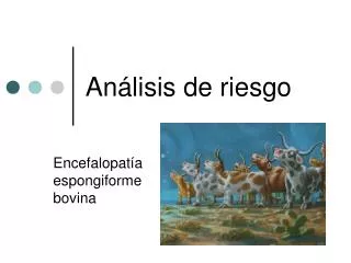 an lisis de riesgo