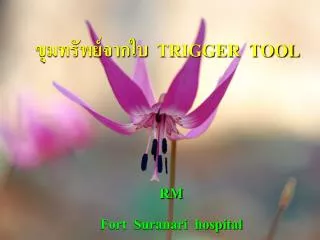 trigger tool