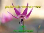 ขุมทรัพย์จากใบ TRIGGER TOOL - slide 1
