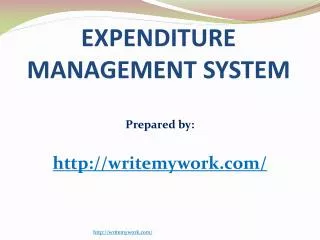Sample essay: Expenditure Management System