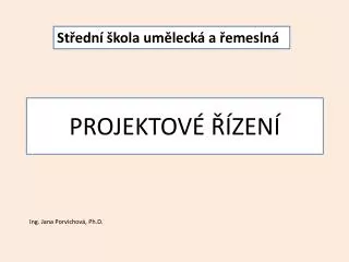 projektov zen