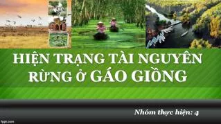 hi n tr ng t i nguy n r ng g o gi ng
