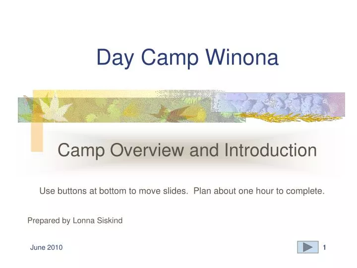 day camp winona