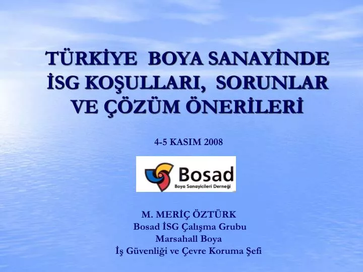 t rk ye boya sanay nde sg ko ullari sorunlar ve z m ner ler