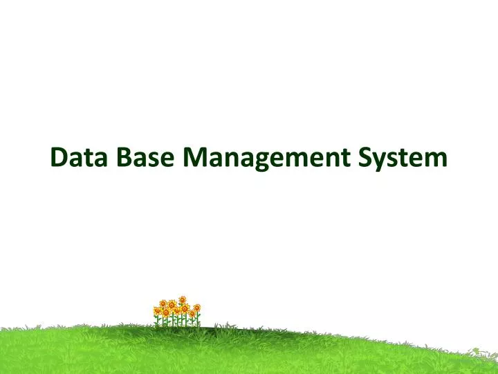 data base management system
