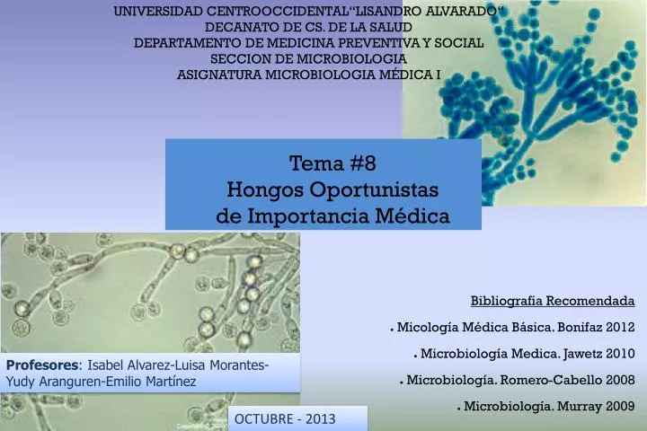 tema 8 hongos oportunistas de importancia m dica