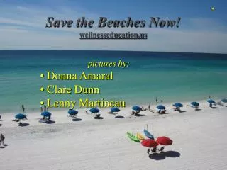 Save the Beaches Now! wellnesseducation