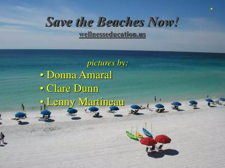 save the beaches now wellnesseducation us