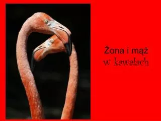 ona i m w kawa ach
