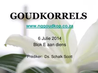 goudkorrels