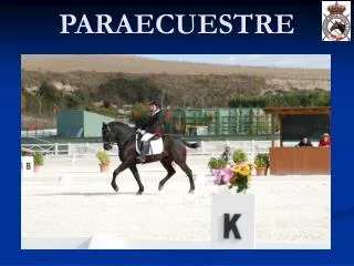 paraecuestre