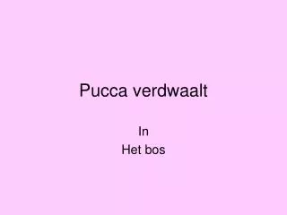 pucca verdwaalt