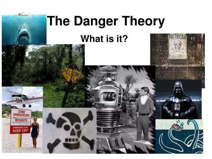 the danger theory