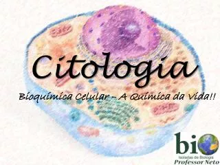citologia