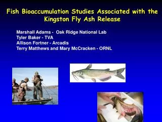 Fish Bioaccumulation Studies Associated with the Kingston Fly Ash Release