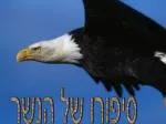 סיפורו של הנשר - slide 1
