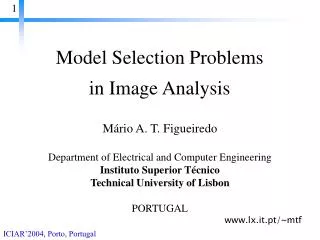 Model Selection Problems in Image Analysis